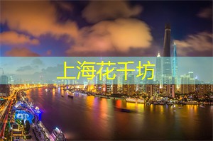 上海的夜经济未来展望